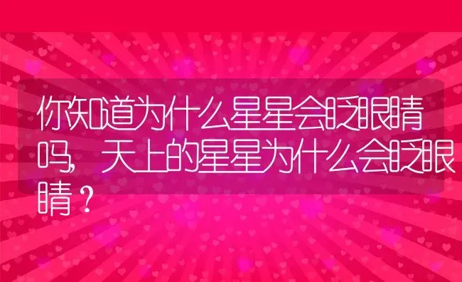 你知道为什么星星会眨眼睛吗,天上的星星为什么会眨眼睛？ | 养殖科普