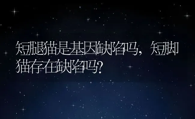 短腿猫是基因缺陷吗,短脚猫存在缺陷吗？ | 养殖学堂