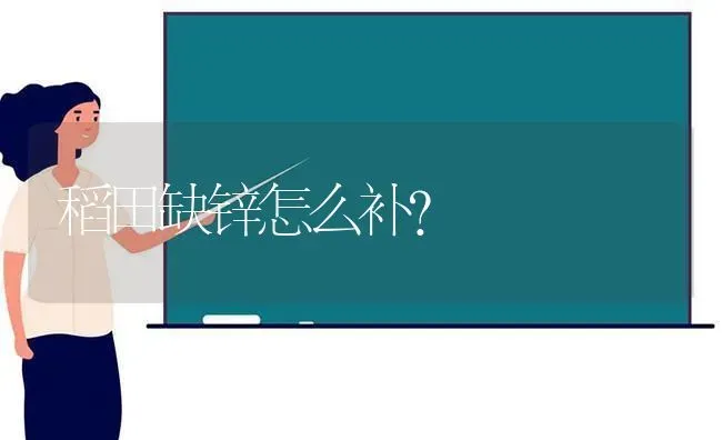 稻田缺锌怎么补? | 养殖技术大全