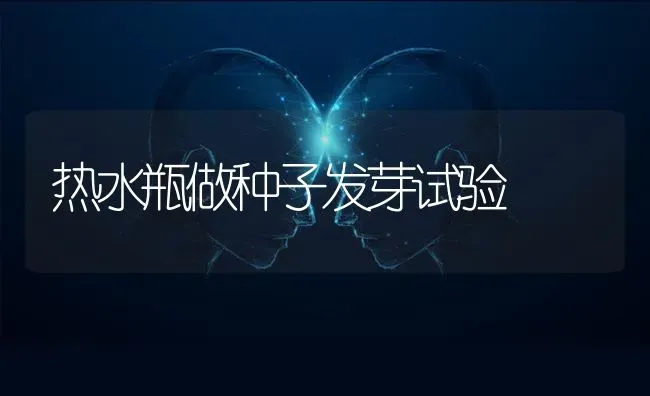 热水瓶做种子发芽试验 | 养殖技术大全