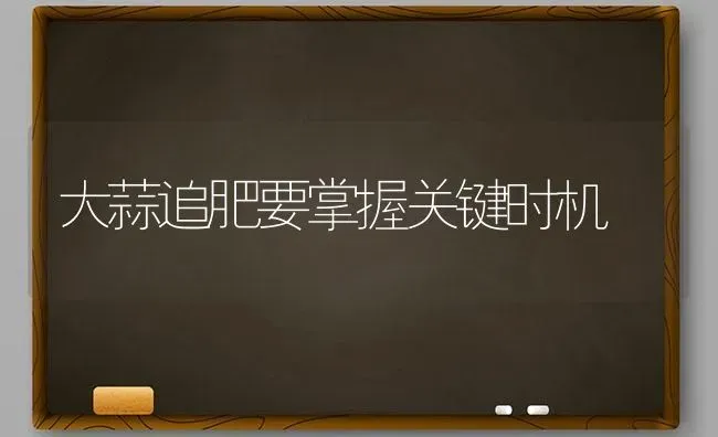 大蒜追肥要掌握关键时机 | 养殖技术大全