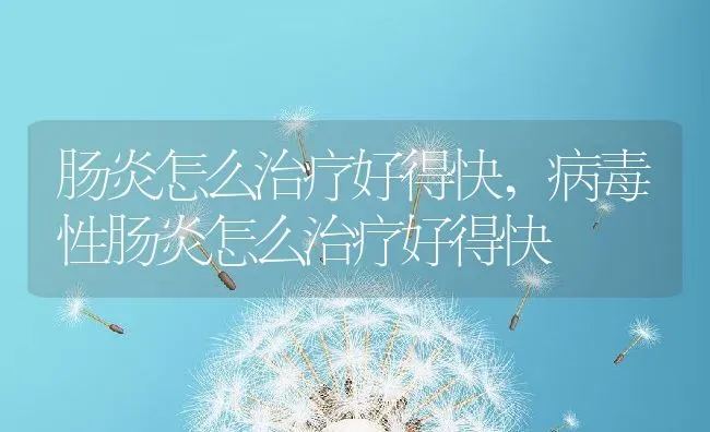 肠炎怎么治疗好得快,病毒性肠炎怎么治疗好得快 | 养殖资料