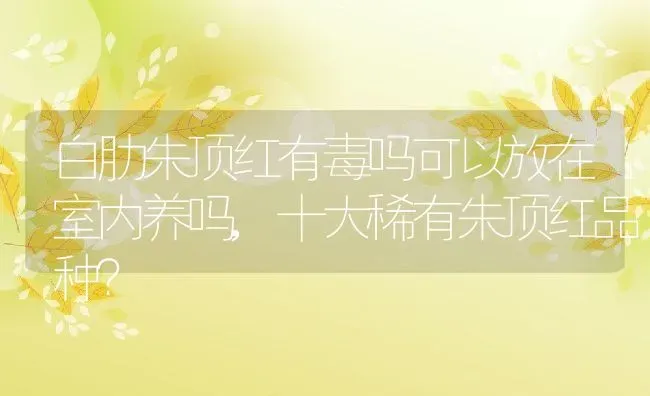 白肋朱顶红有毒吗可以放在室内养吗,十大稀有朱顶红品种？ | 养殖科普