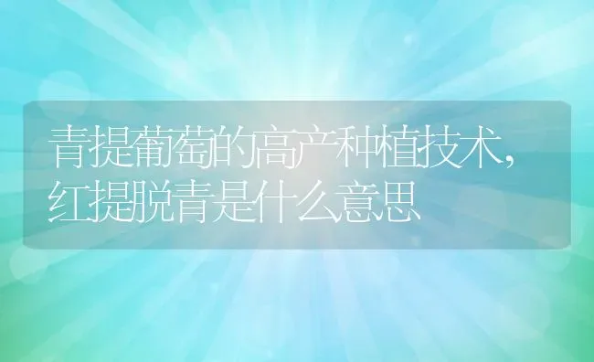 青提葡萄的高产种植技术,红提脱青是什么意思 | 养殖学堂