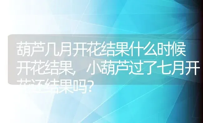 葫芦几月开花结果什么时候开花结果,小葫芦过了七月开花还结果吗？ | 养殖科普