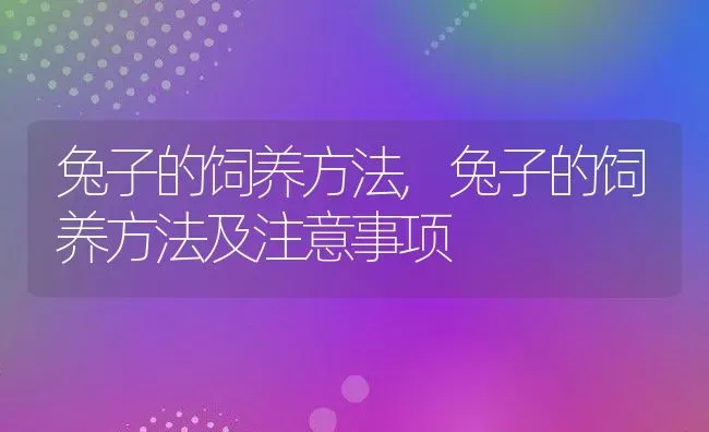 兔子的饲养方法,兔子的饲养方法及注意事项 | 养殖学堂