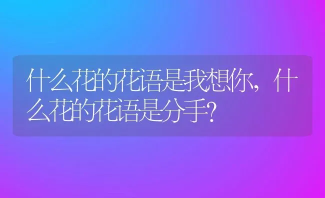 什么花的花语是我想你,什么花的花语是分手？ | 养殖科普