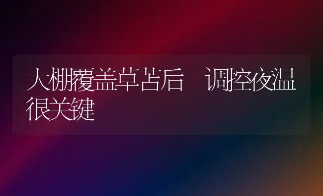 大棚覆盖草苫后 调控夜温很关键 | 养殖知识