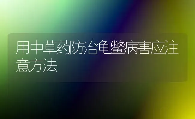 用中草药防治龟鳖病害应注意方法 | 养殖技术大全