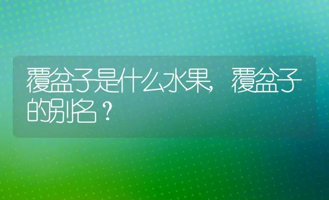 覆盆子是什么水果,覆盆子的别名？ | 养殖科普