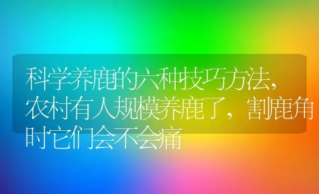 科学养鹿的六种技巧方法,农村有人规模养鹿了，割鹿角时它们会不会痛 | 养殖学堂