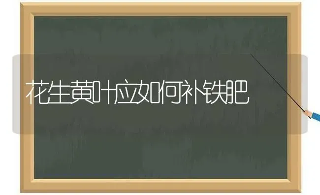 花生黄叶应如何补铁肥 | 养殖知识