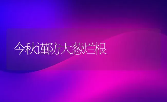 今秋谨防大葱烂根 | 养殖知识