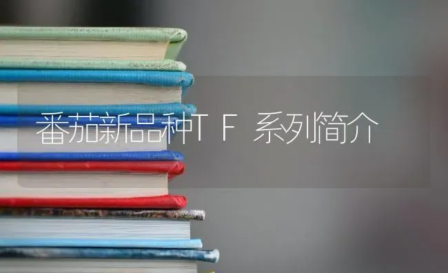番茄新品种TF系列简介 | 养殖技术大全