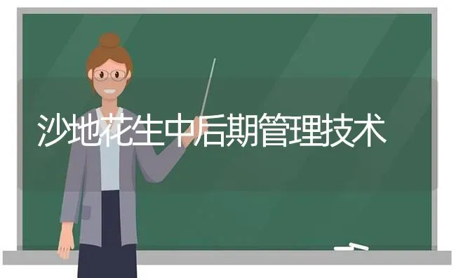 沙地花生中后期管理技术 | 养殖知识