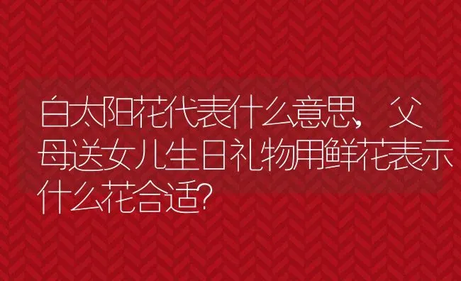 白太阳花代表什么意思,父母送女儿生日礼物用鲜花表示什么花合适？ | 养殖科普