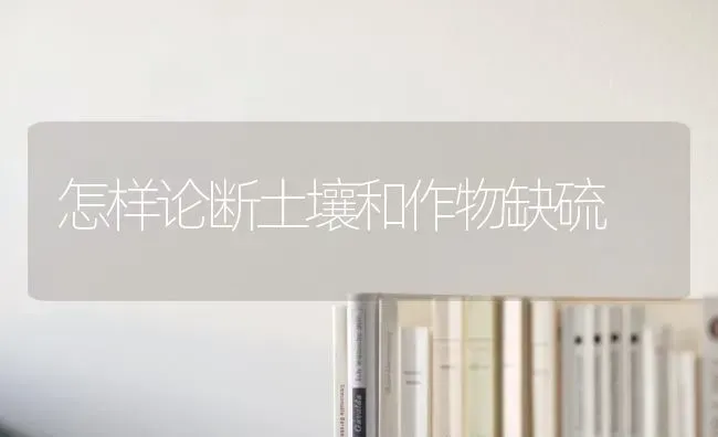 怎样论断土壤和作物缺硫 | 养殖技术大全