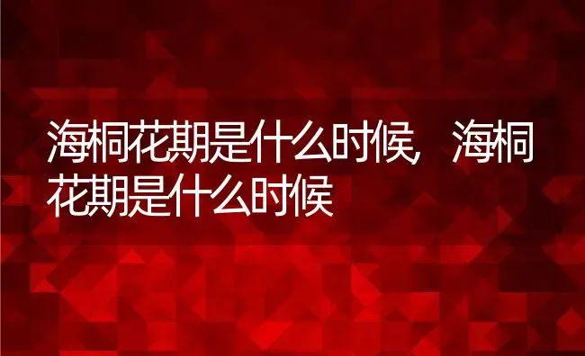 海桐花期是什么时候,海桐花期是什么时候 | 养殖科普