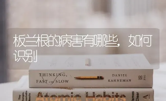 板兰根的病害有哪些,如何识别 | 养殖技术大全