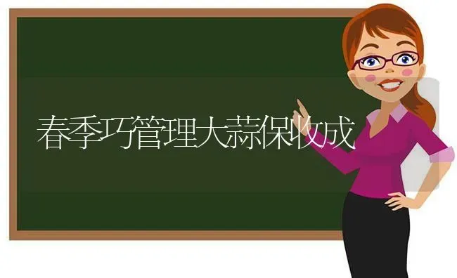 春季巧管理大蒜保收成 | 养殖知识