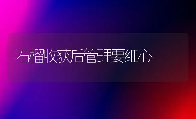 石榴收获后管理要细心 | 养殖技术大全