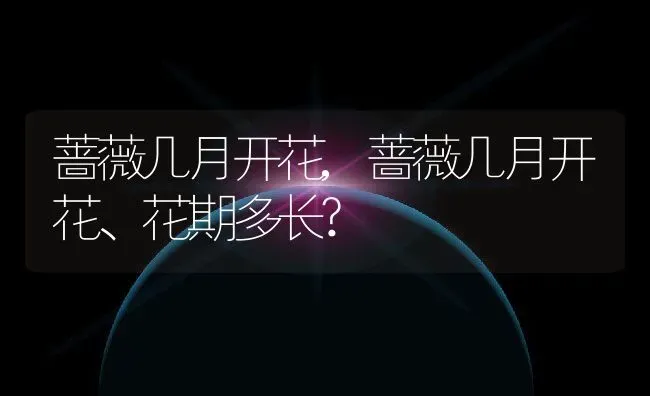 蔷薇几月开花,蔷薇几月开花、花期多长? | 养殖资料
