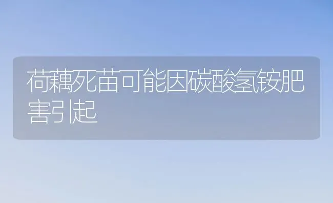 荷藕死苗可能因碳酸氢铵肥害引起 | 养殖知识