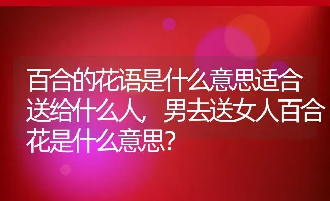 百合的花语是什么意思适合送给什么人,男去送女人百合花是什么意思？ | 养殖科普