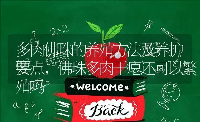 多肉佛珠的养殖方法及养护要点,佛珠多肉干瘪还可以繁殖吗 | 养殖学堂