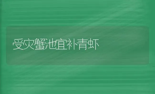 受灾蟹池宜补青虾 | 养殖技术大全
