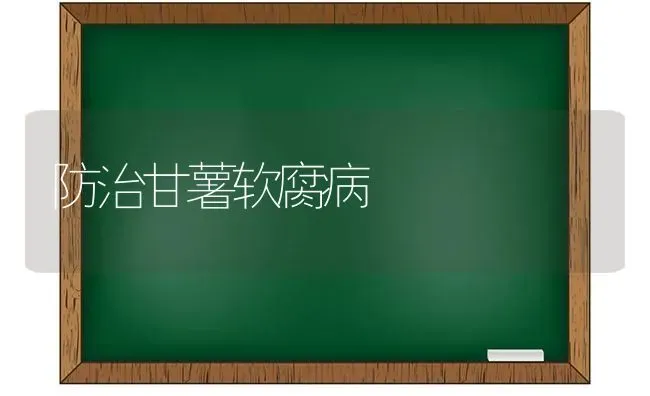 防治甘薯软腐病 | 养殖技术大全