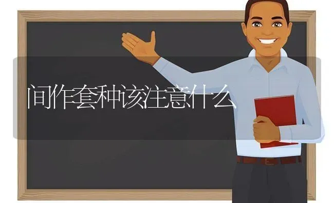 间作套种该注意什么 | 养殖技术大全