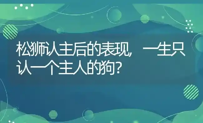 松狮认主后的表现,一生只认一个主人的狗？ | 养殖学堂