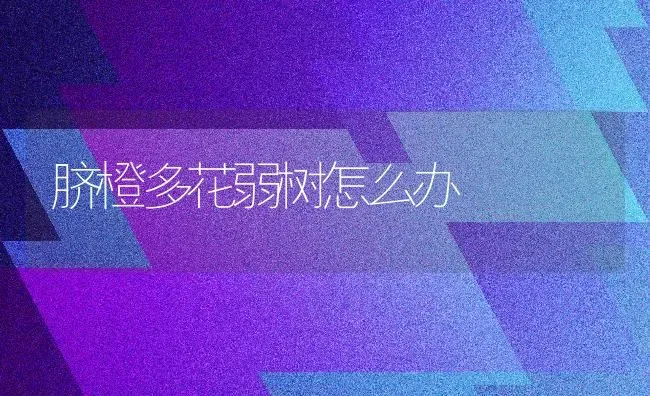 脐橙多花弱树怎么办 | 养殖技术大全
