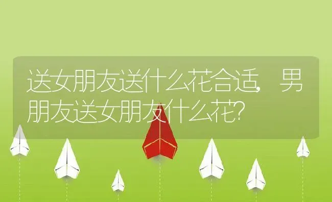 送女朋友送什么花合适,男朋友送女朋友什么花？ | 养殖学堂