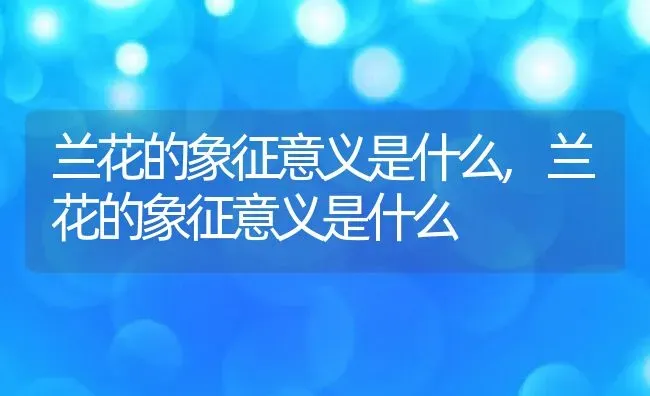 兰花的象征意义是什么,兰花的象征意义是什么 | 养殖科普