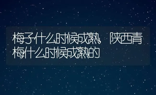 梅子什么时候成熟,陕西青梅什么时候成熟的 | 养殖学堂