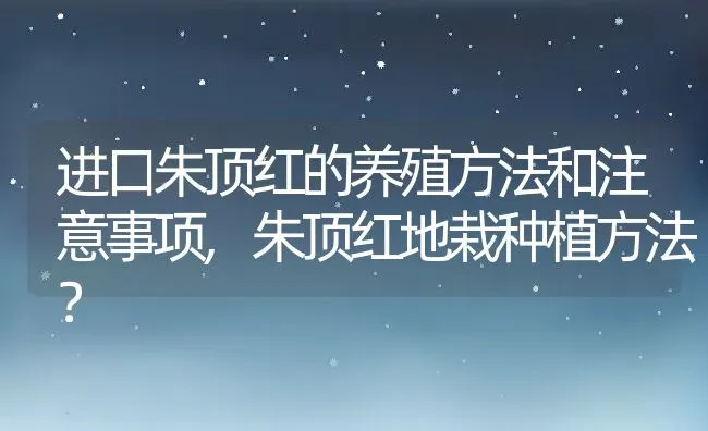 进口朱顶红的养殖方法和注意事项,朱顶红地栽种植方法？ | 养殖科普