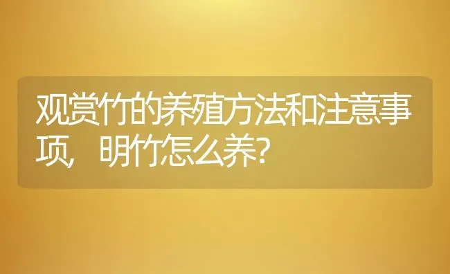 观赏竹的养殖方法和注意事项,明竹怎么养？ | 养殖科普