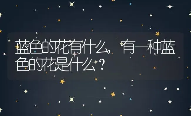 蓝色的花有什么,有一种蓝色的花是什么？ | 养殖学堂