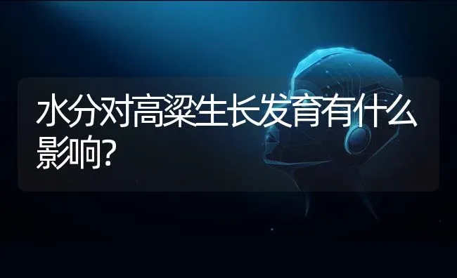 水分对高粱生长发育有什么影响? | 养殖知识