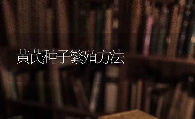 黄芪种子繁殖方法 | 养殖知识
