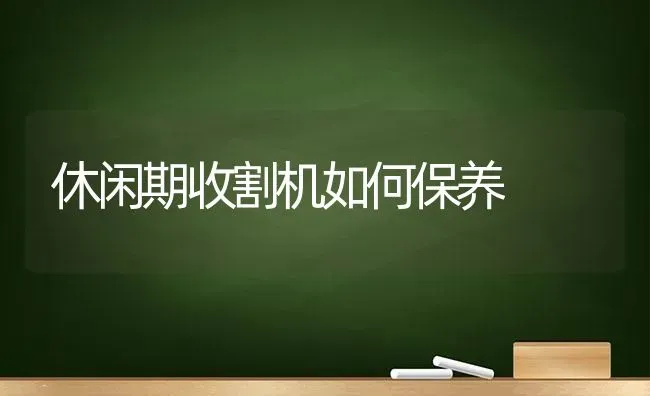 休闲期收割机如何保养 | 养殖技术大全