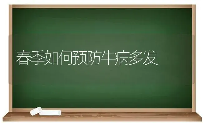 春季如何预防牛病多发 | 养殖技术大全