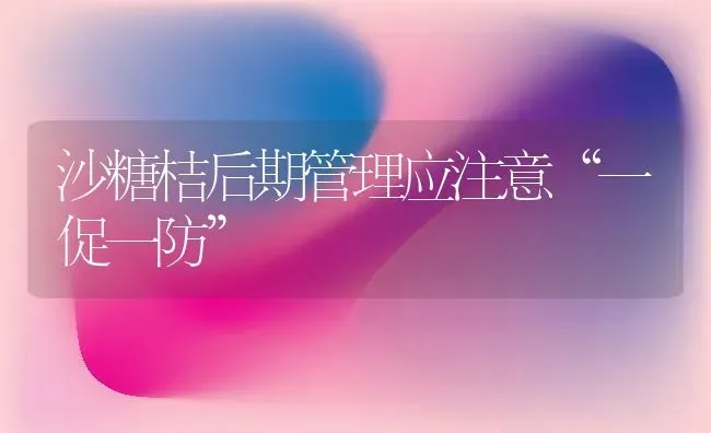 沙糖桔后期管理应注意“一促一防” | 养殖知识