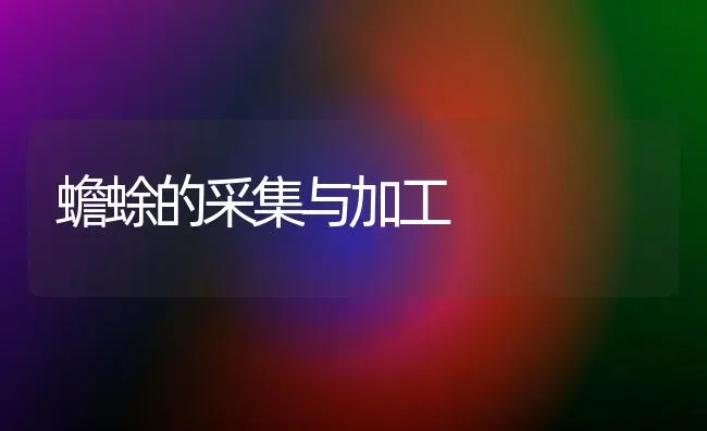 蟾蜍的采集与加工 | 养殖技术大全