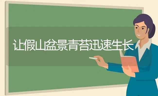 让假山盆景青苔迅速生长 | 养殖技术大全