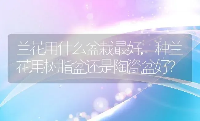 兰花用什么盆栽最好,种兰花用树脂盆还是陶瓷盆好？ | 养殖学堂