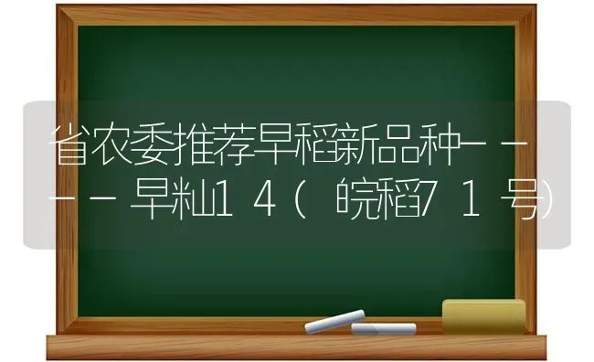 省农委推荐早稻新品种----早籼14(皖稻71号) | 养殖技术大全