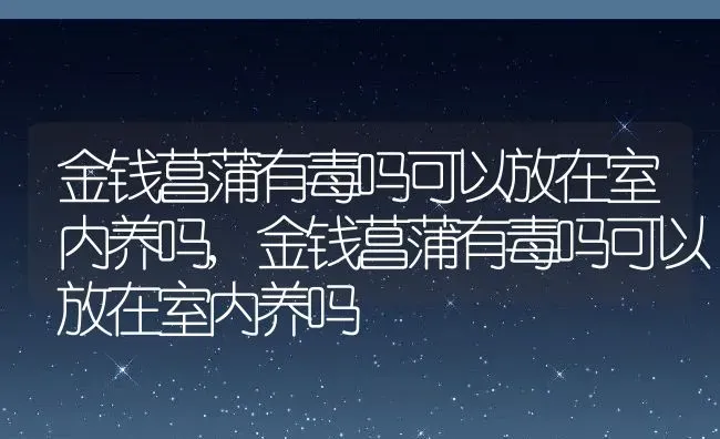 金钱菖蒲有毒吗可以放在室内养吗,金钱菖蒲有毒吗可以放在室内养吗 | 养殖科普